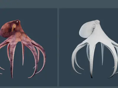 Animated Common Octopus Low-poly 3D model