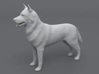 Husky dog Low-poly 3D model