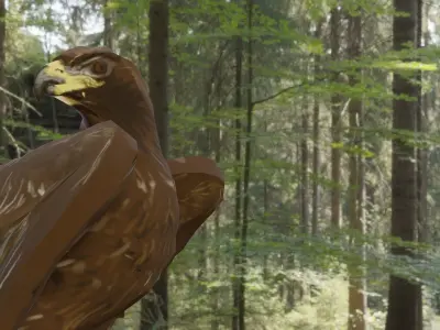 Golden Eagle Low Polly Low-poly 3D model