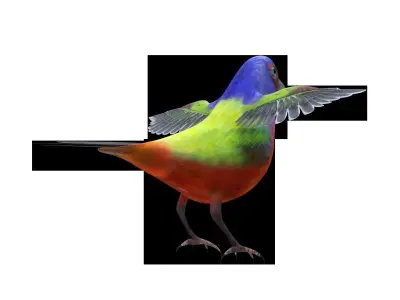 Bunting Bird Low-poly 3D model