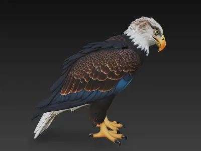 Eagle Realistic 3D Model - Low Poly Realistic Low-poly 3D model
