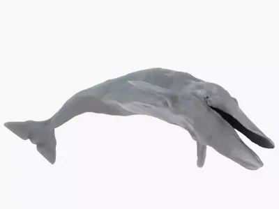 Blue Whale 3D Model Rigged Free low-poly 3D model