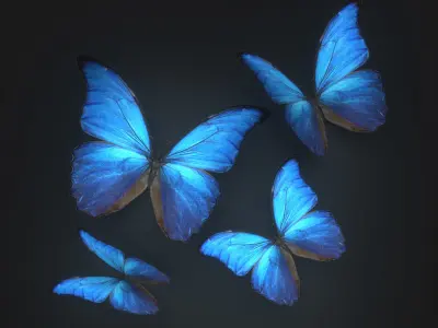 10 Animated Butterflies - FREE Free 3D model