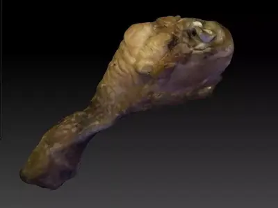 Chicken Drumstick 3D model