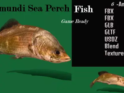 Barramundi Asian Sea Bass Fish Low-poly 3D model