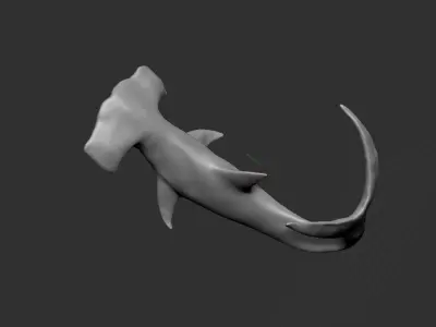 3D Hammer Shark 3D model