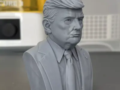 Donald Trump Bust 3D print model