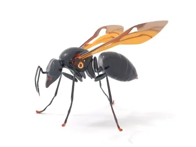 Mechanical Insect model pack Low-poly 3D model