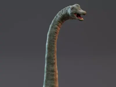 Brachiosaurus - Realistic Dinosaur Rigged 3D model