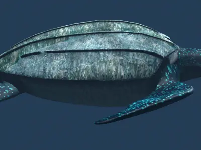 Leather back Turtle Low-poly 3D model