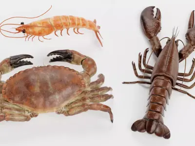 Shrimp Crab Lobster - Crustacean Collection 3D model