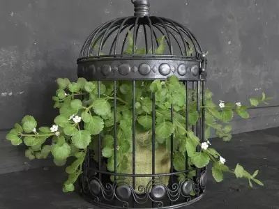 Ivy in a bird cage Free 3D model