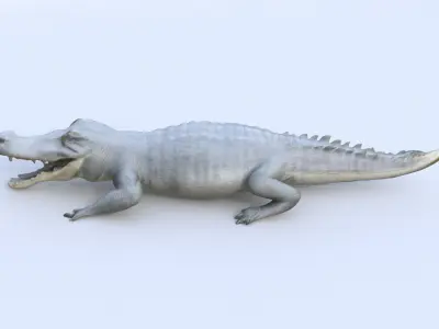 Gharial 3D model