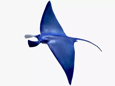 Rigged and Animated Manta ray sea creature Low-poly 3D model
