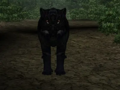 Black Tiger 3D model