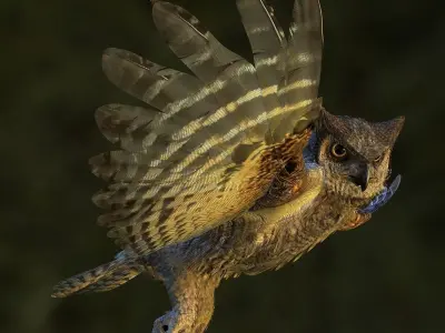 Great Horned Owl - rigged - animated - PBR - VRAY - Standard 3D model