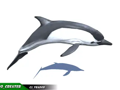 Low-Poly Dolphin Rigged Animated 3D model Low-poly 3D model