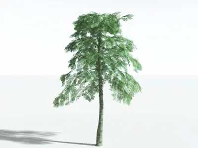 EVERYPlant Alethopteris Seed Fern LowPoly 3 --12 Models-- Low-poly 3D model