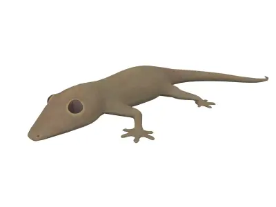 Lizard Gecko Animal 3D model Low-poly 3D model