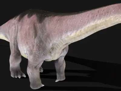 Sauropod Dinosaur Apatosaurus ajax Low-poly 3D model