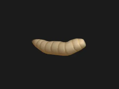animated maggot 3D model