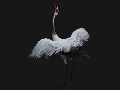 Pack-02-Bird Family 3D model