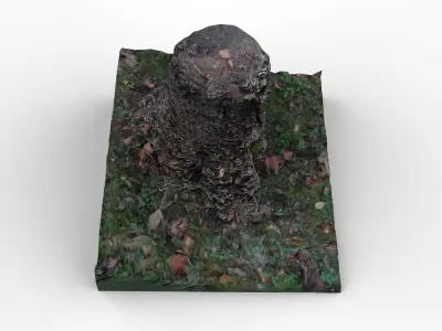 Tree trunk covered in mushrooms Free low-poly 3D model