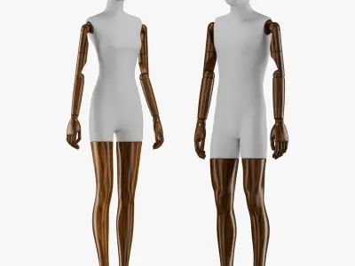 Sewing Male and Female Mannequin 3D model