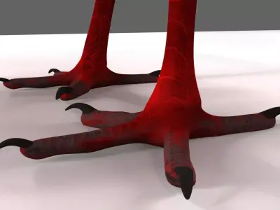 Scarlet-ibis Animation 3D model