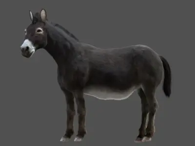 Donkey (Rigged) 3D model
