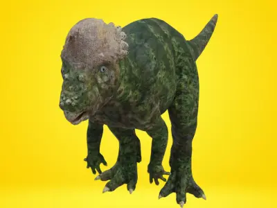 pachycephalosaurus Dinosaur Low-poly 3D model