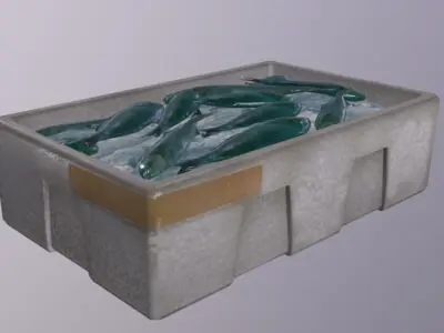 Polystyrene Box with fish Low-poly 3D model