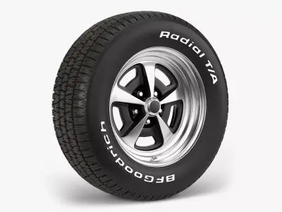 BFGoodrich Magnum Combo 3D model