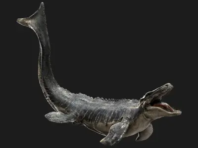 Mosa saurus (Rigged) 3D model