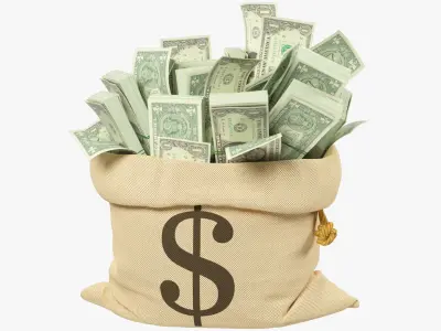 Money Bag V20 3D model