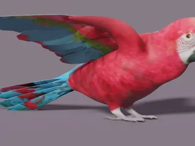 MACAW LOWPOLY parrot with wings spread Low-poly 3D model