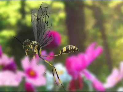 Wasp 3d model with basic rig setup  3D model