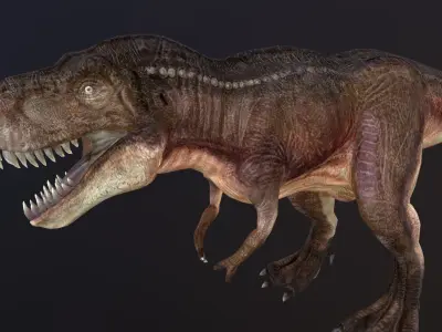 Tyrannosaurus t - rex Low-poly 3D model