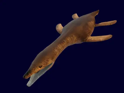 Pliosaur Rhomaleosaurus Low-poly 3D model