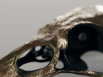 crow skull - bronze 3D model