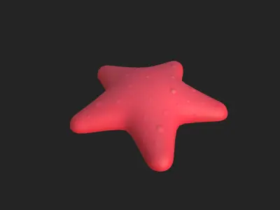 Starfish star shaped toy 3D model