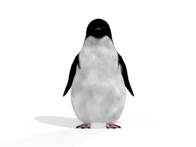Penguin chick Black and white Fairy bird animal 3D model