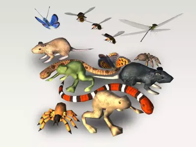 Low Poly Critter Pack Low-poly 3D model