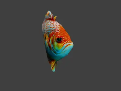 Fish Animal Low-poly 3D model