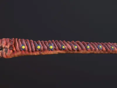 Sharkworm From Outer Space Low-poly 3D model