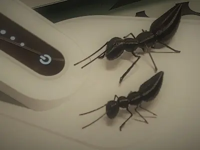 Ant insect 3D print model
