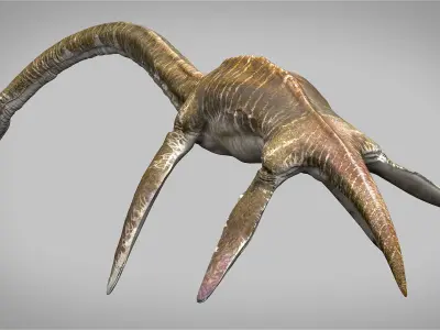 Elasmosaurus Rigged Low-poly 3D model