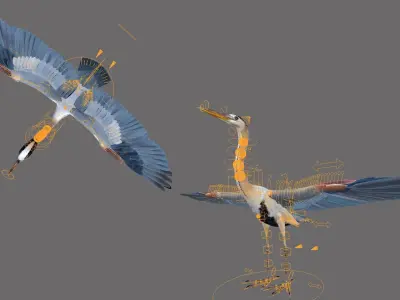 Great Blue Heron - Ardea Herodias 3D model