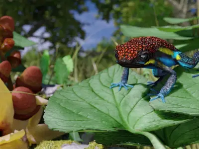 Arrow Frog rigged VR AR low-poly 3d model Free low-poly 3D model