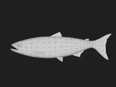 Trout Low-poly 3D model